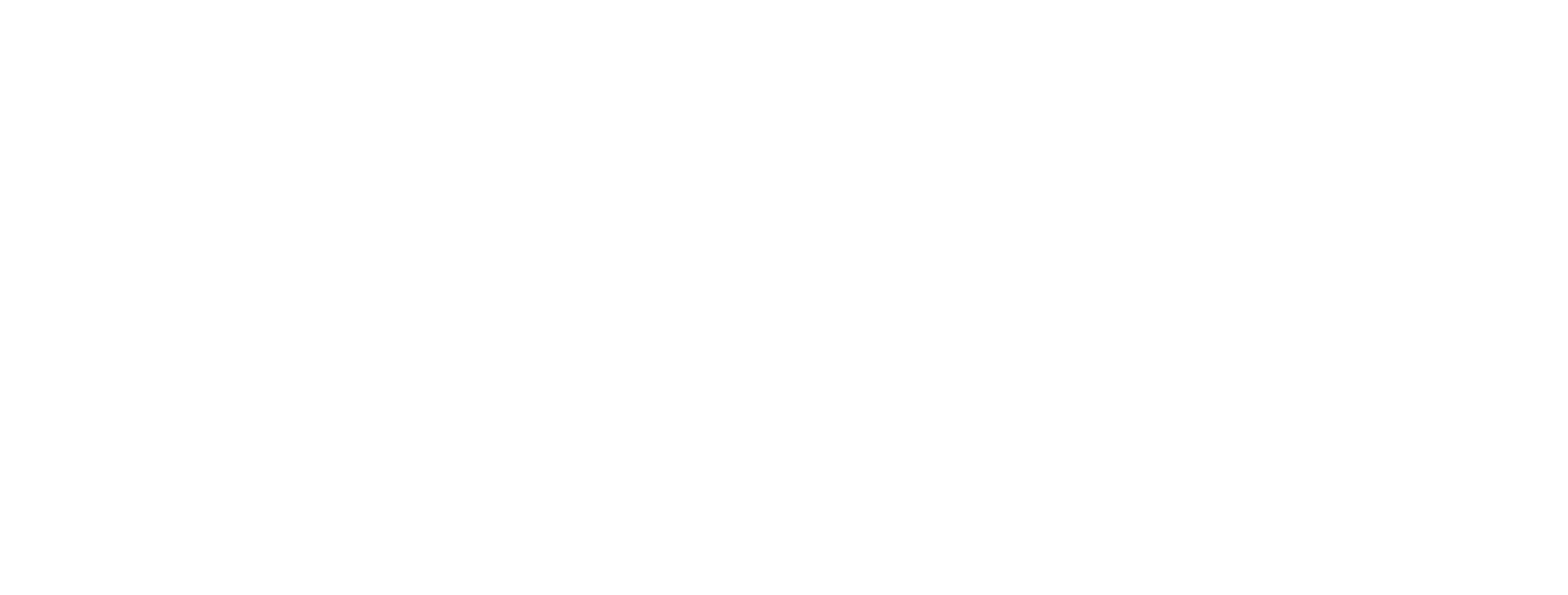MG_Logo_weiss